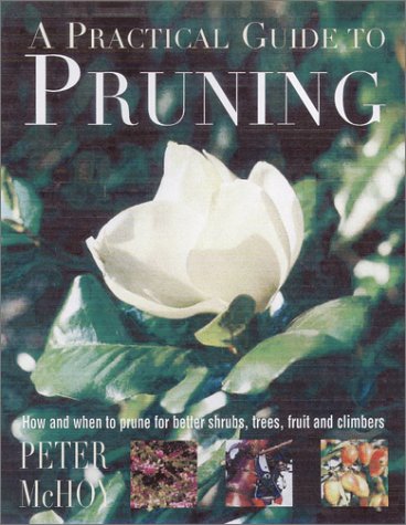 Book cover for A Practical Guide to Pruning