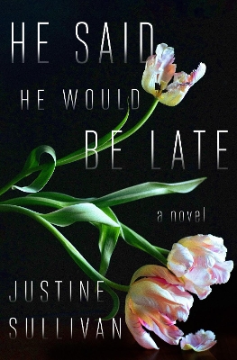 Book cover for He Said He Would Be Late