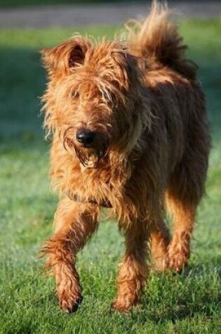 Cover of The Irish Terrier Dog Journal