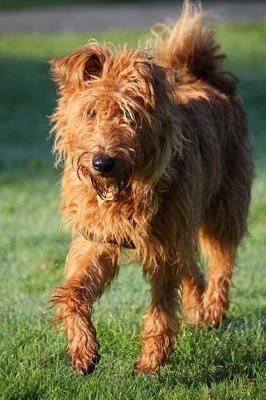 Book cover for The Irish Terrier Dog Journal