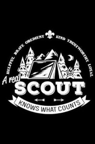 Cover of A real scout knows what counts