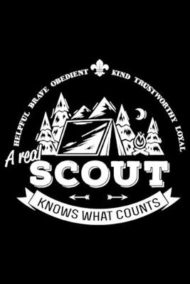 Book cover for A real scout knows what counts