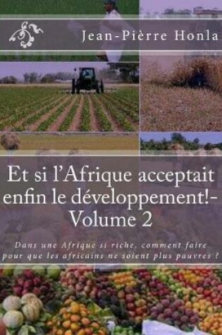 Cover of Et si l'Afrique acceptait enfin le développement!-Volume 2