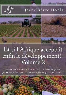 Book cover for Et si l'Afrique acceptait enfin le développement!-Volume 2