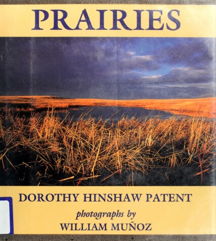 Book cover for Prairies