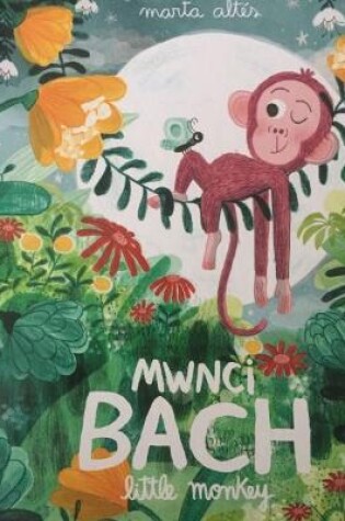 Cover of Mwnci Bach / Little Monkey