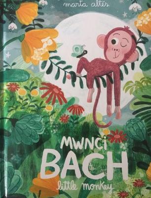 Book cover for Mwnci Bach / Little Monkey