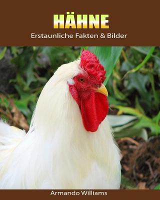 Book cover for Hahne