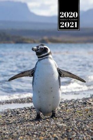 Cover of Penguin Puffin Antarctica Seabird Week Planner Weekly Organizer Calendar 2020 / 2021 - Open Arms