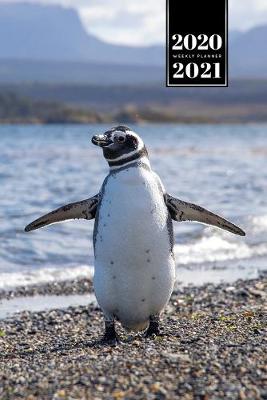 Book cover for Penguin Puffin Antarctica Seabird Week Planner Weekly Organizer Calendar 2020 / 2021 - Open Arms