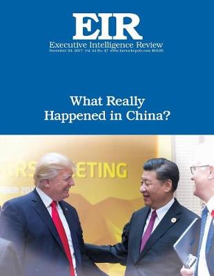 Book cover for What Really Happened in China?