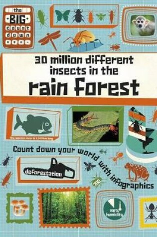 Cover of 30 Million Different Insects in the Rainforest