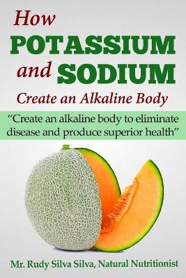Book cover for How Potassium and Sodium Creates an Alkaline Body