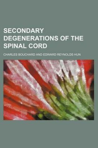 Cover of Secondary Degenerations of the Spinal Cord