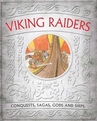 Book cover for Viking Raiders