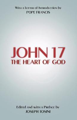 Book cover for John 17