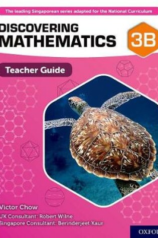 Cover of Discovering Mathematics: Teacher Guide 3B