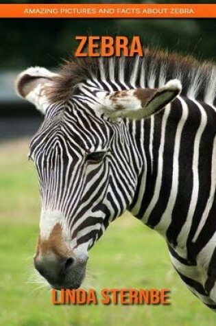 Cover of Zebra