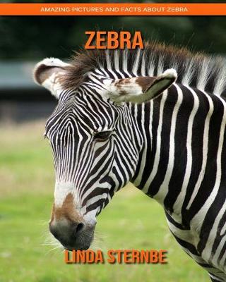 Book cover for Zebra