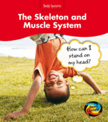 Book cover for The Skeleton and Muscle System