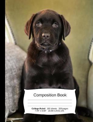 Cover of Chocolate Lab Composition Notebook