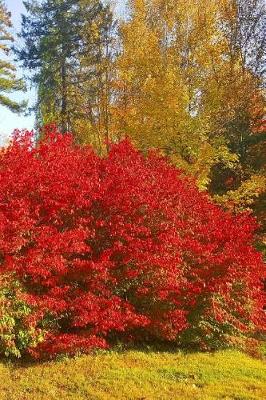 Cover of 2019 Weekly Planner Autumn Red Bushes Fall Trees 134 Pages