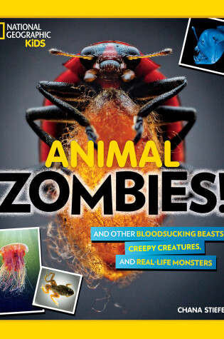 Cover of Animal Zombies!