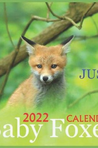 Cover of Just Baby Foxes CALENDAR 2022