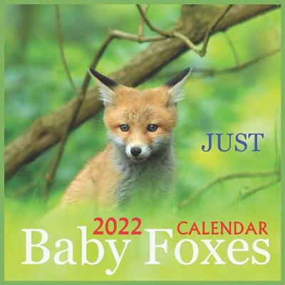 Book cover for Just Baby Foxes CALENDAR 2022