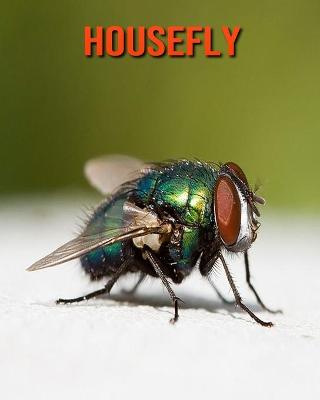 Book cover for Housefly