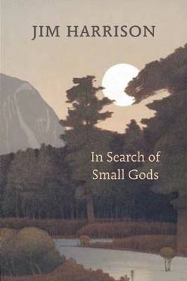 Book cover for In Search of Small Gods