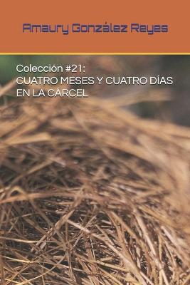 Book cover for Coleccion #21