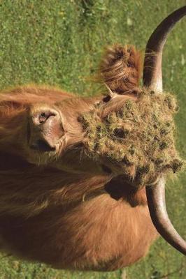 Book cover for Horned Galloway Cow in the Field Journal