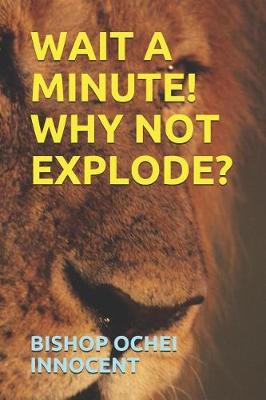 Book cover for Wait a Minute! Why Not Explode?