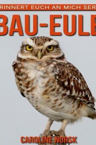 Cover of Bau-Eule