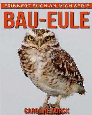 Cover of Bau-Eule