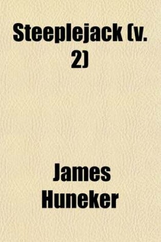 Cover of Steeplejack (Volume 2); PT. III. New York (1877-1917)