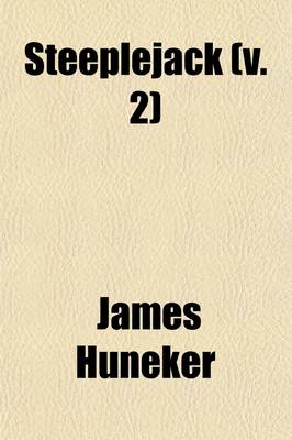 Book cover for Steeplejack (Volume 2); PT. III. New York (1877-1917)