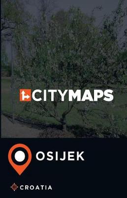 Book cover for City Maps Osijek Croatia