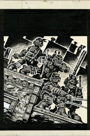 Cover of Teenage Mutant Ninja Turtles Artisan Edition