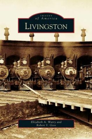 Cover of Livingston