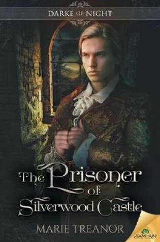 Cover of The Prisoner of Silverwood Castle