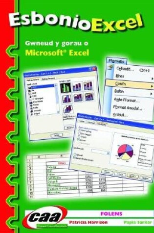 Cover of Esbonio Excel