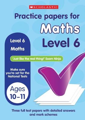 Book cover for Maths Level 6