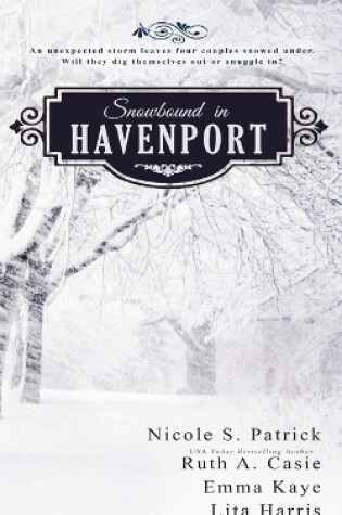 Cover of Snowbound in Havenport