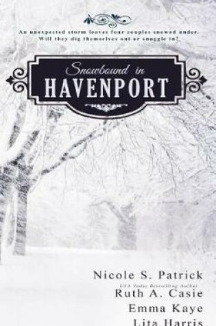 Cover of Snowbound in Havenport