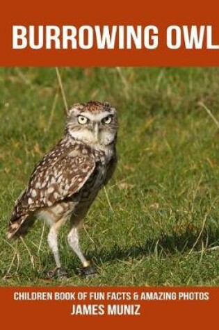 Cover of Burrowing Owl