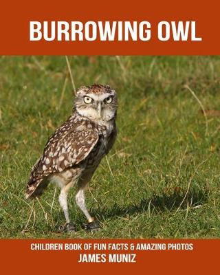 Book cover for Burrowing Owl