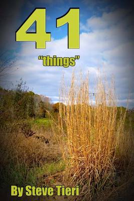 Book cover for 41 Things