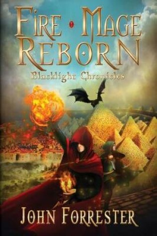 Cover of Fire Mage Reborn